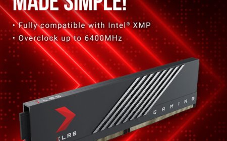 PNY Launches XLR8 Gaming & Performance DDR5 Desktop Memory, Up To 32 GB Capacities & 5600 Speeds