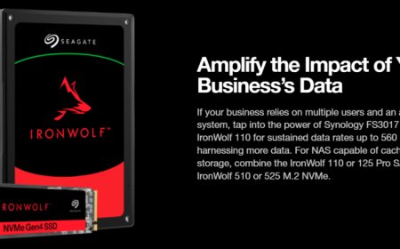 Seagate IronWolf 525 500 GB Gen 4 M.2 SSD Review
