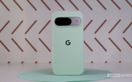 The official Google Pixel 9 case is a nice silicone cover but I wanted to see this one extra feature