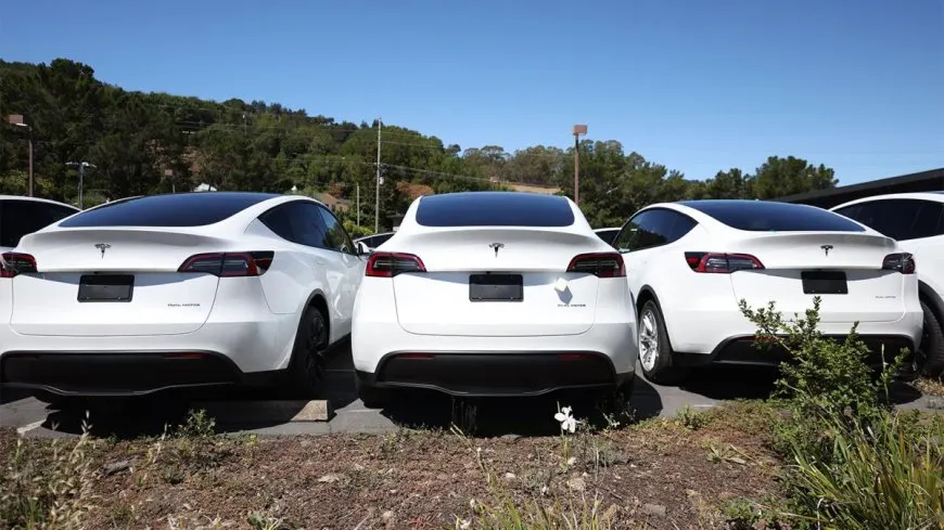 Amber Expands EV Warranty Coverage With Remote Tesla Diagnostics