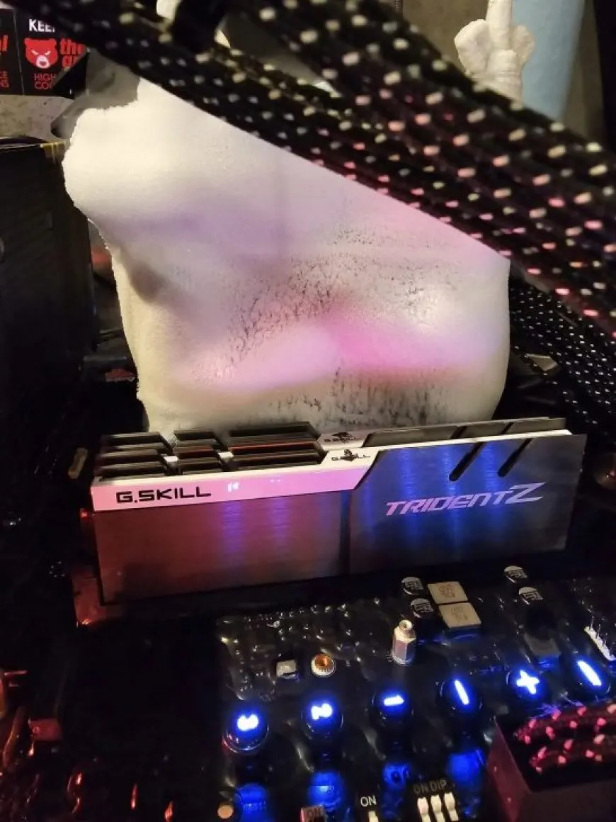 Intel Core i9-11900K With DDR4 Memory Dethrones Core i9-14900KS With DDR5 Memory In PYPrime Latency Benchmark World…