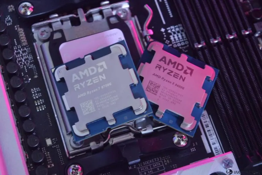 AMD Ryzen 8000G Hawk Point APUs Now Available For AM5 Platform: 8700G $329, 8600G $229, 8500G $179