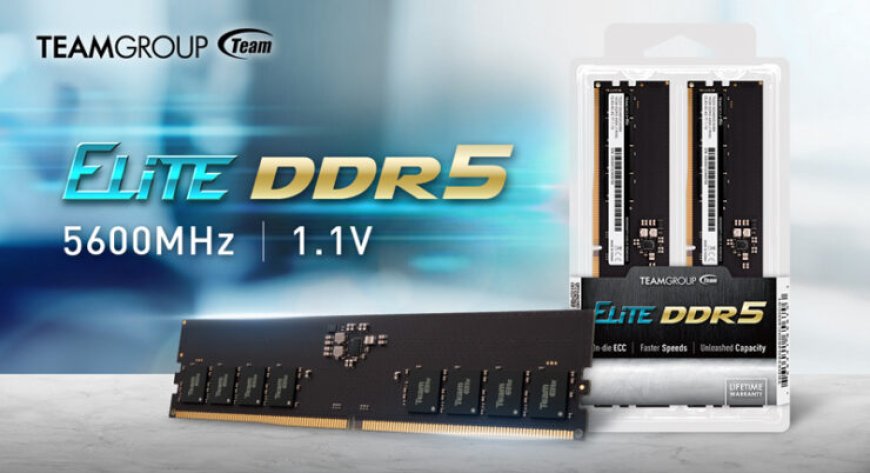 TEAMGROUP Upgrades Its Elite DDR5 Memory Kits With Faster Speeds, U-DIMM Now Clocked at DDR5-5600 Mbps