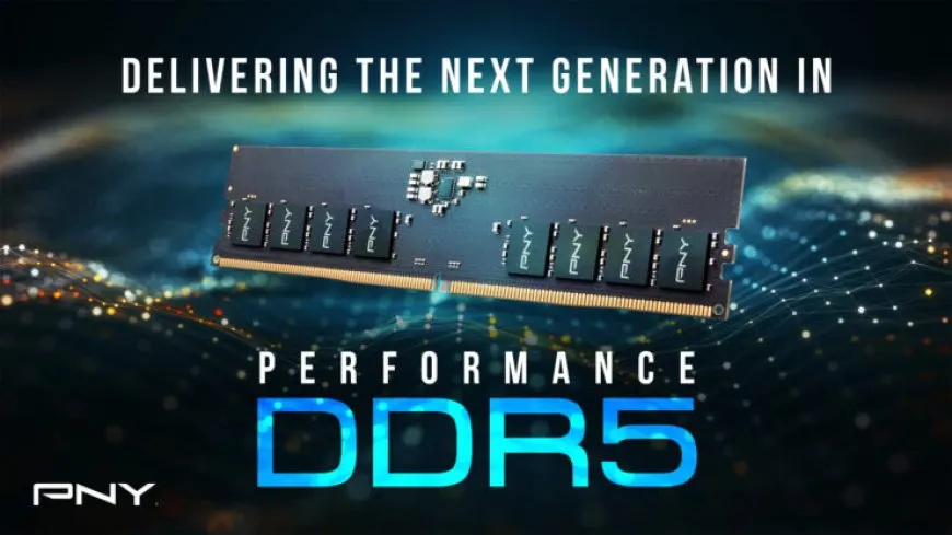 PNY DDR5-4800 desktop memory kits with overclock-ready capabilities and XLR8 branding.