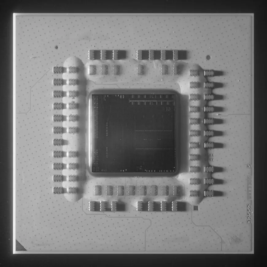 This die shot shows the AMD Ryzen 5000G Cezanne APU with 10.7 billion transistors in a 180 square millimeter package.