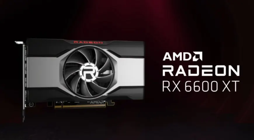 The AMD Radeon RX 6600 XT graphics card is displayed for cryptocurrency mining.