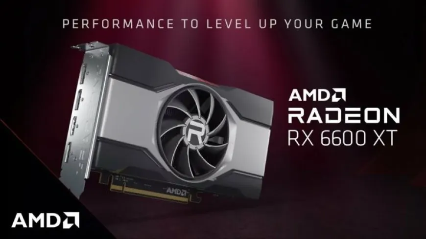 AMD Radeon RX 6600 XT 8 GB graphics card product shot