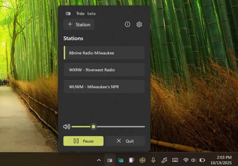 Trdo application window displaying the station list, playback controls, and Fluent Design interface.