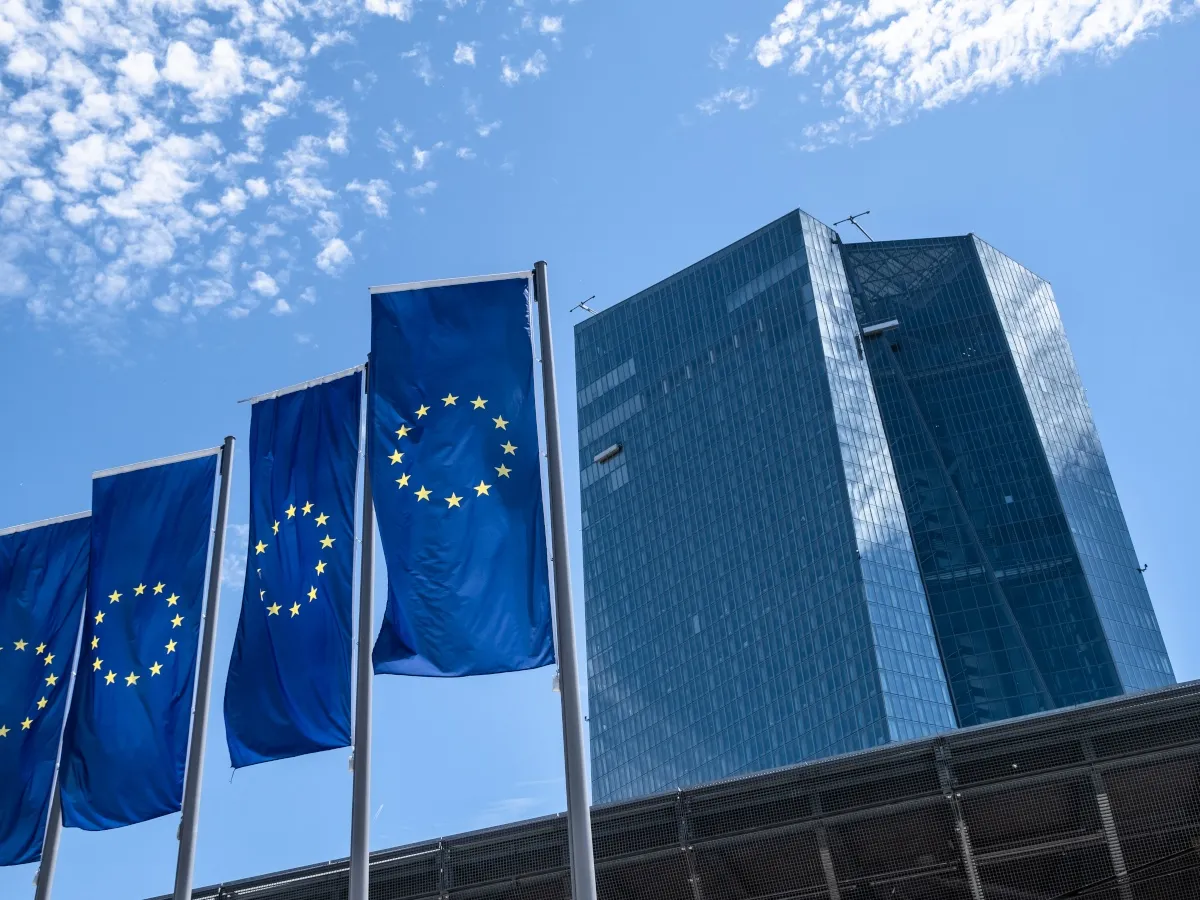 Financial technology departments adopt artificial intelligence safeguards following European Central Bank guidance.