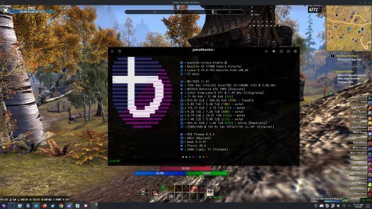 My journey to successfully game under Linux (and overcome Microsoft's Stranglehold)