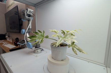 A caring robot just won a silver medal at one of the world’s biggest flower shows