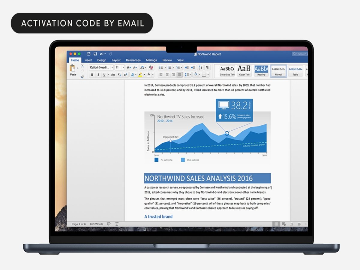 The Case for a $30 Perpetual Office License on Mac