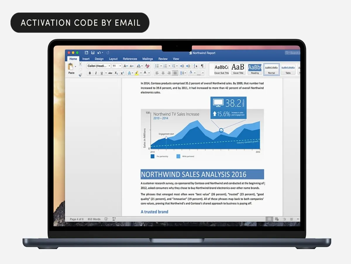 Microsoft Office Home and Business 2019 application icons appear on a macOS desktop.