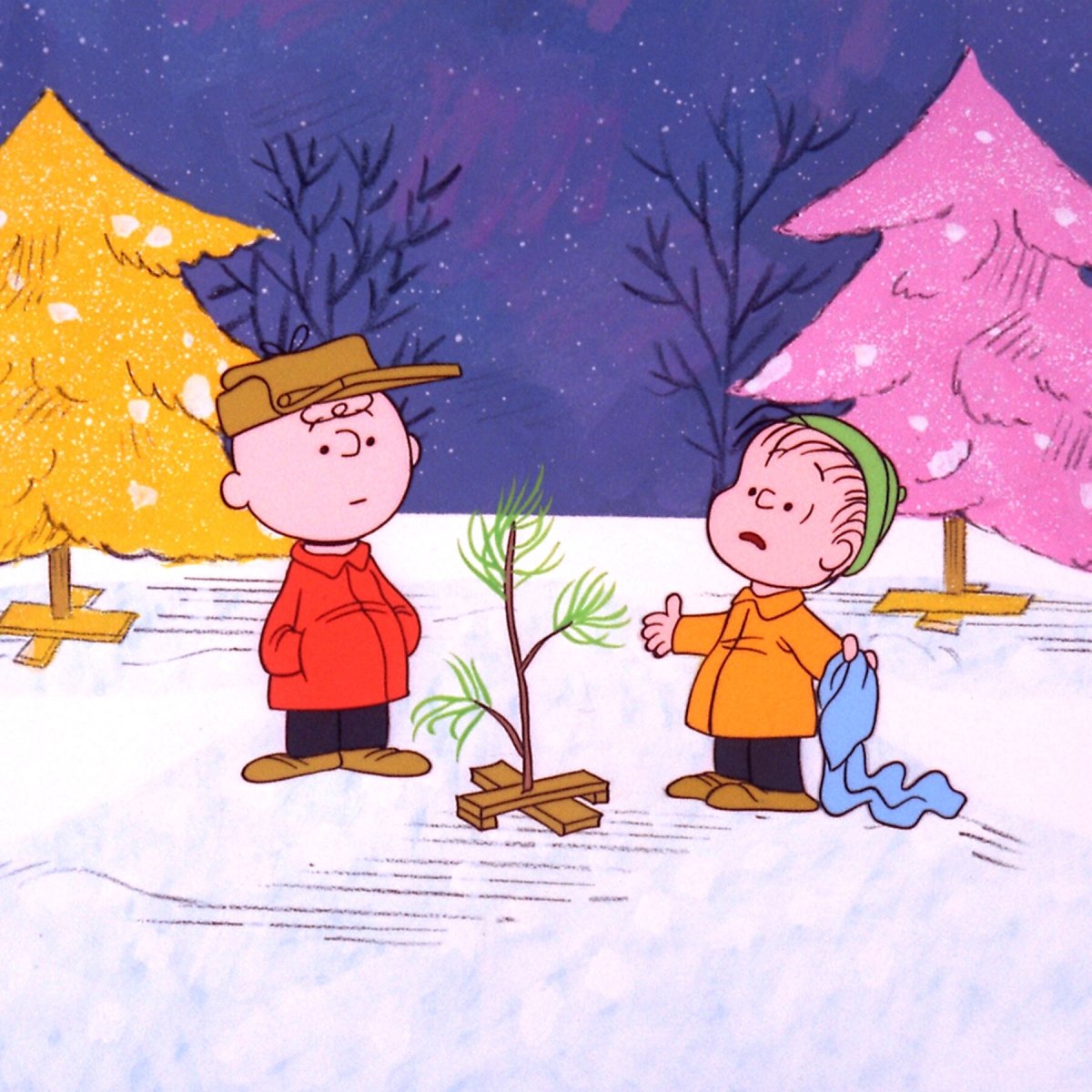‘Peanuts’ Music Owner Sues Interior Department and 3 Companies for Copyright Infringement