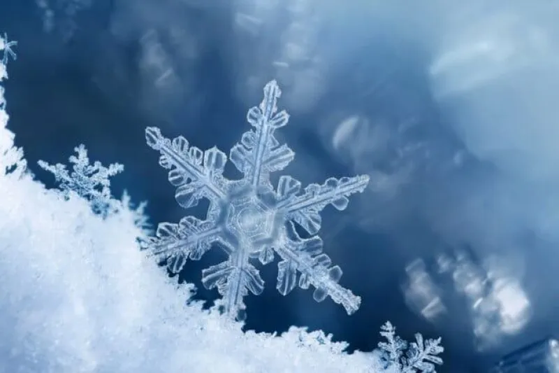 Snowflake invests six billion dollars in AWS Graviton processors and AI accelerators for cloud data warehousing.