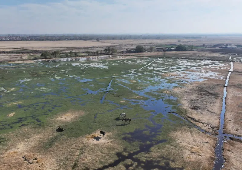 Data center facilities at the Quilicura wetland north of Santiago, Chile, operating amid severe regional drought.