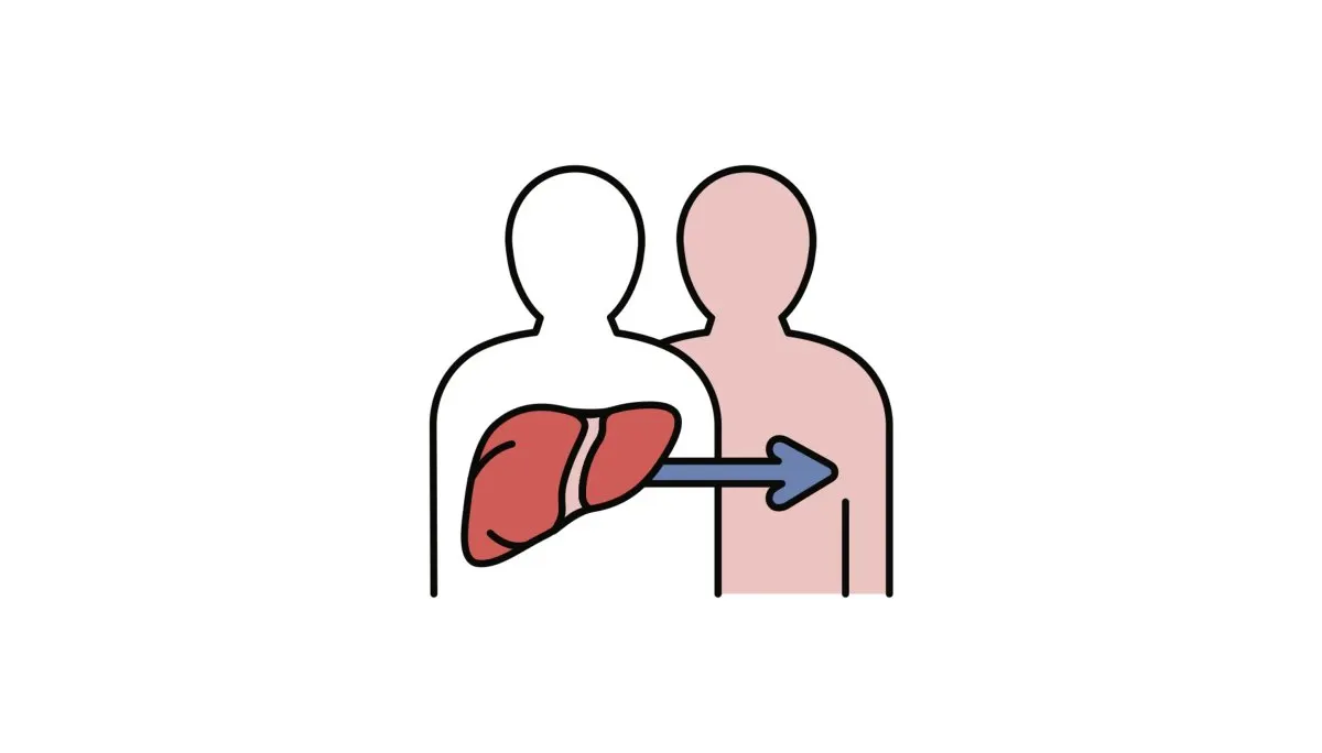 UK liver transplant matching algorithm visualizing scoring mechanisms that prioritize survival metrics over long-term equity.
