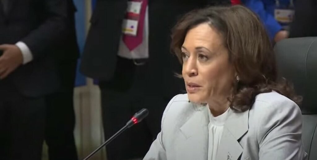 The Mechanics and Limits of the Democratic 2024 Election Review