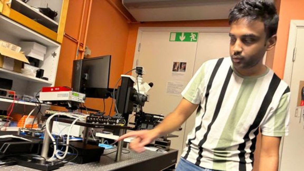 Silicon Photonic Chip Turns Quantum Noise Into Measurable Data