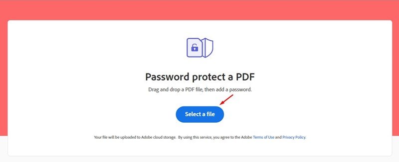 A web browser window displays a document encryption utility on Windows 11.