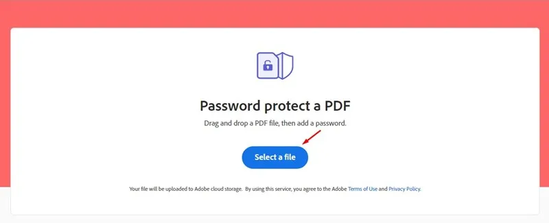 A web browser window displays a document encryption utility on Windows 11.