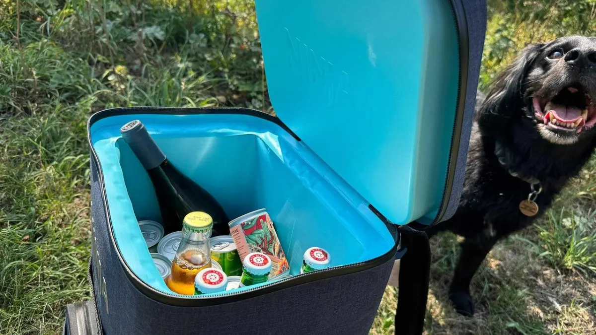 A portable cooler displays thick insulation lining and a tightly sealed lid.