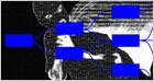 Socket: TeamPCP, the gang claiming GitHub's repositories breach, also executed 20 "waves" of supply chain attacks recently, compromising 500+ pieces of software (Wired)