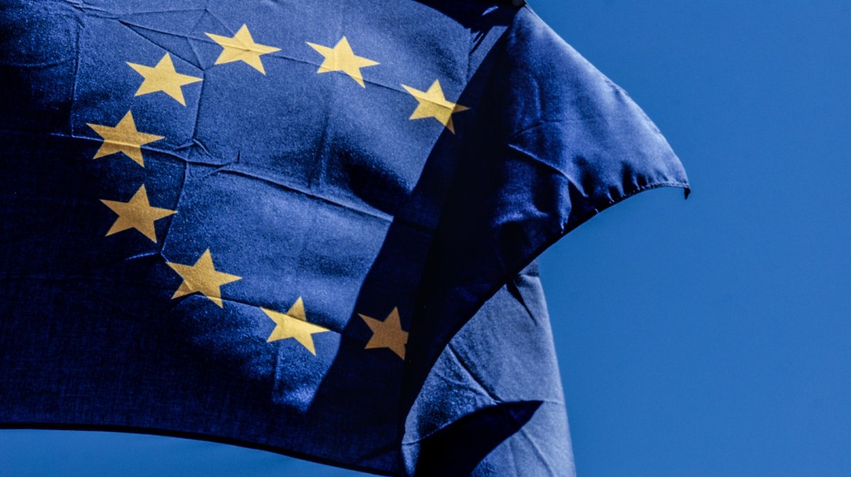 Apple and Google Challenge EU Android AI Access Mandates