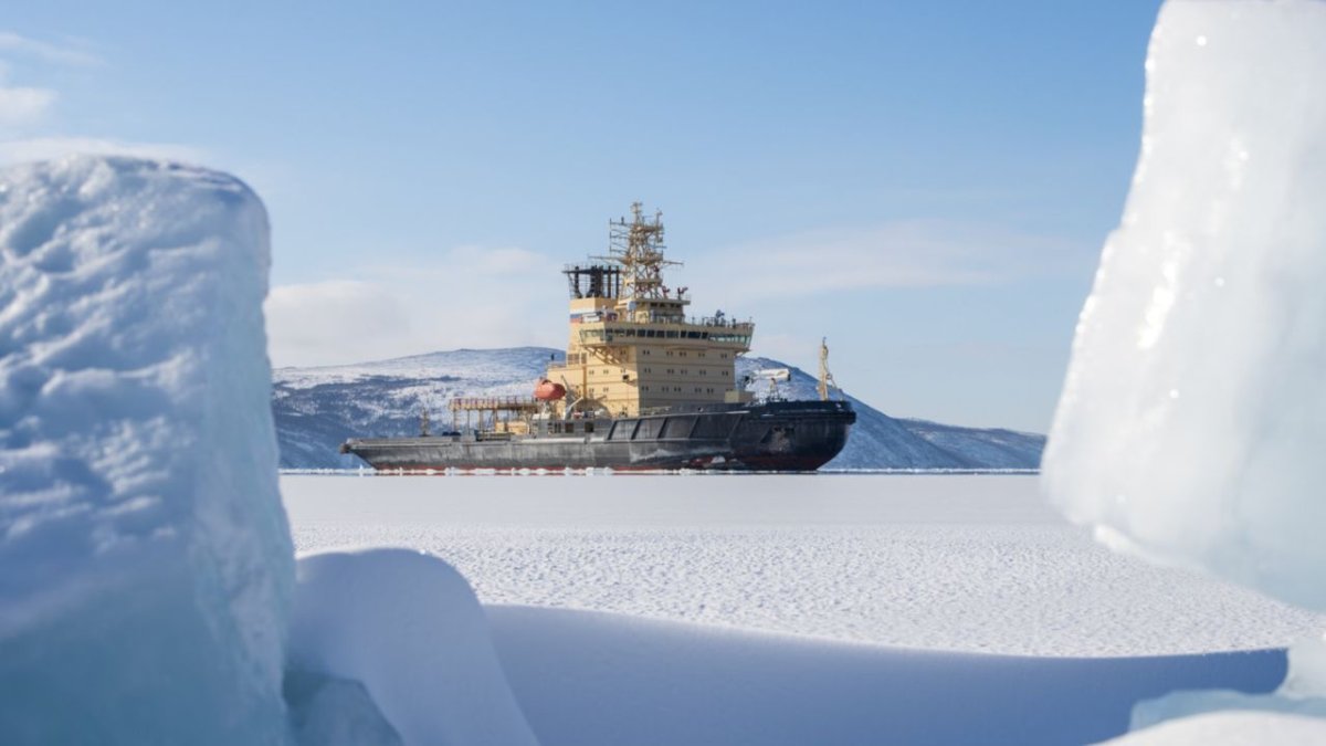 Europe's Arctic Cable Strategy: Bypassing Geopolitical Risk