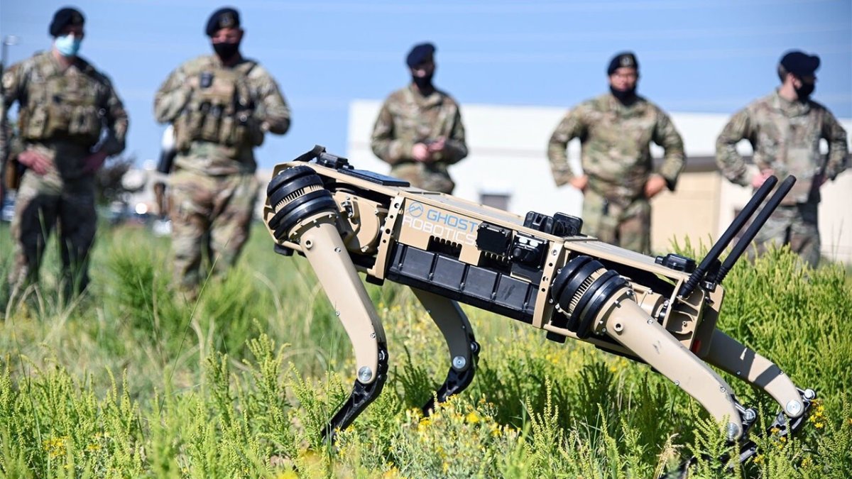 Military Robotics Debate: Evaluating Utility and Risk in Automated Defense Systems