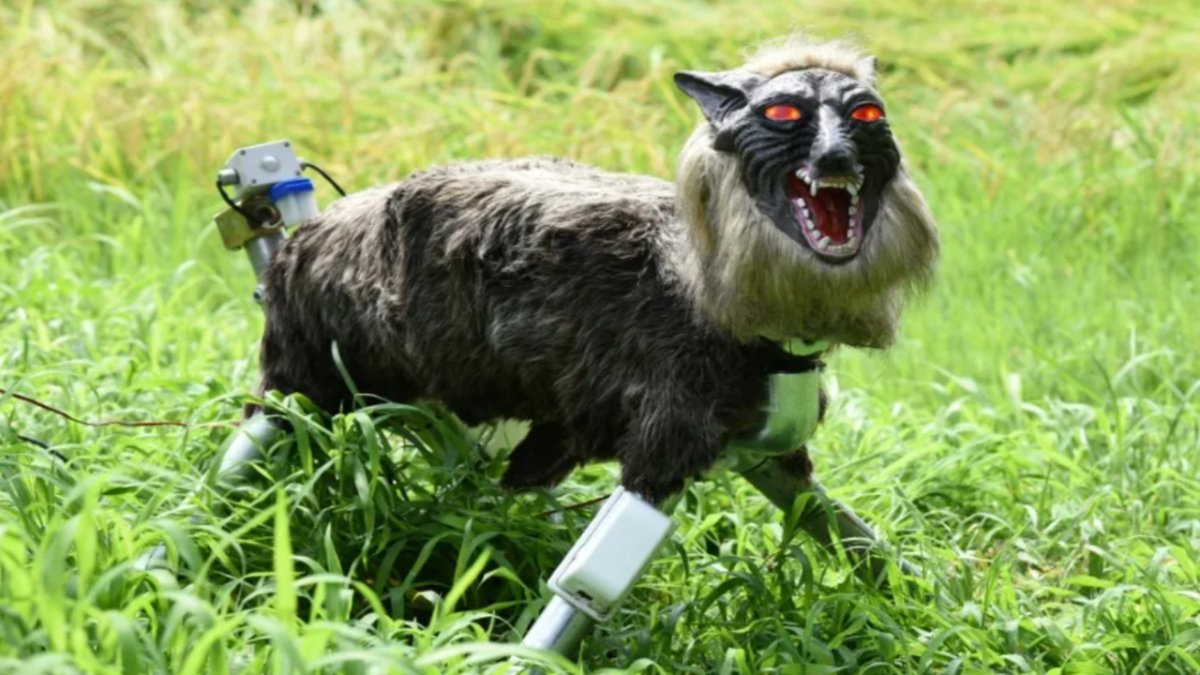 Japan Turns to Robotic Wolves as Bear Encounters Reach Record Levels