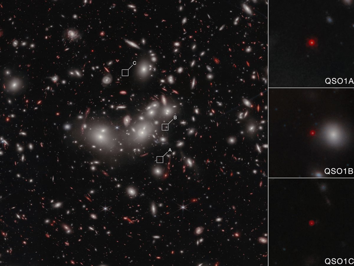 The Webb telescope reveals a 50 million solar mass black hole that formed before its host galaxy.
