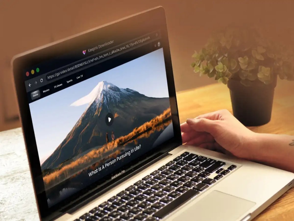 Keeprix streaming video downloader interface showing batch download controls and format options