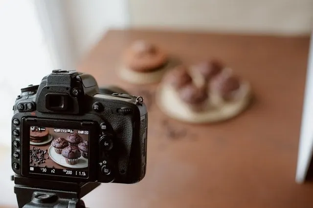 photographer adjusting camera settings while composing a scene with natural light