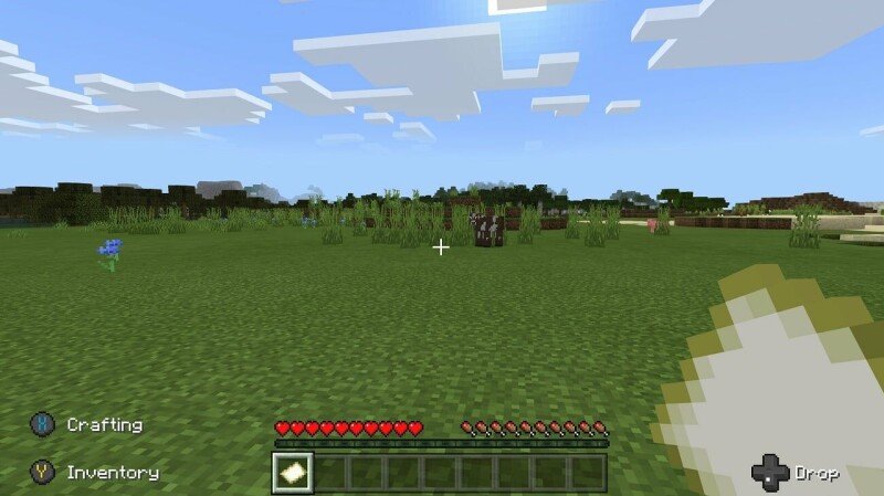 Minecraft-streaming gran swatted while raising cash for grandson's cancer care