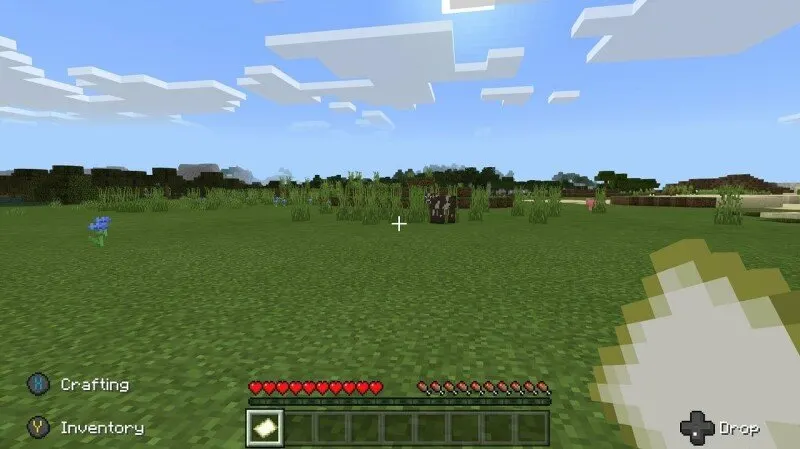 Elderly grandmother livestreaming Minecraft reacts to tactical police response during charity hoax