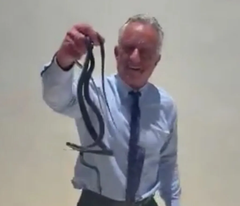 The United States Health Secretary handles two wild snakes without protective gear in viral footage.