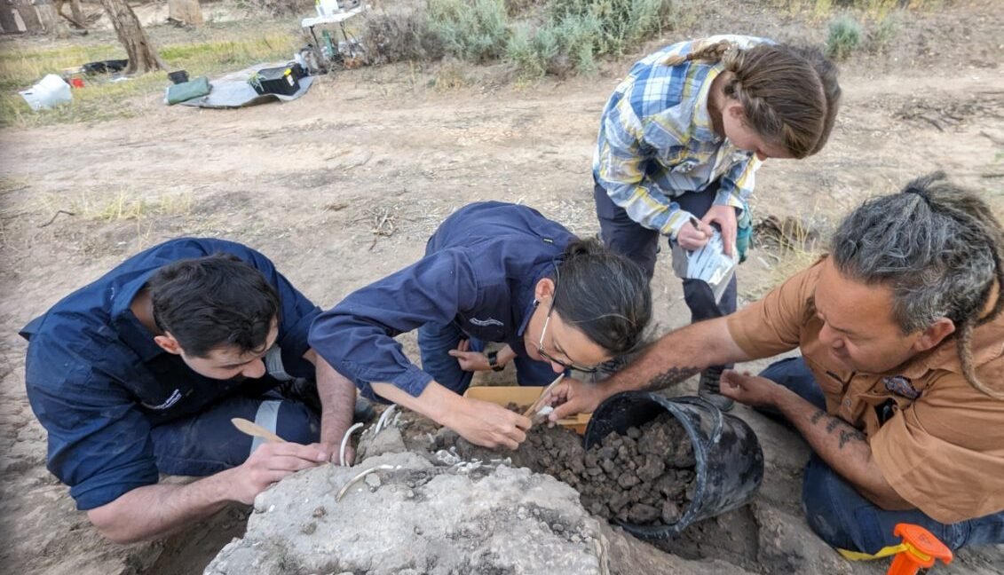 Ancient Dingo Burial Reveals Deep Indigenous Bonds