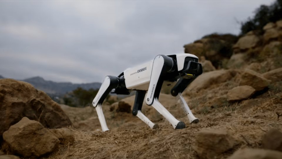 Dobot Rover X1 robot dog debuts at $1,030, carries items and follows for filming