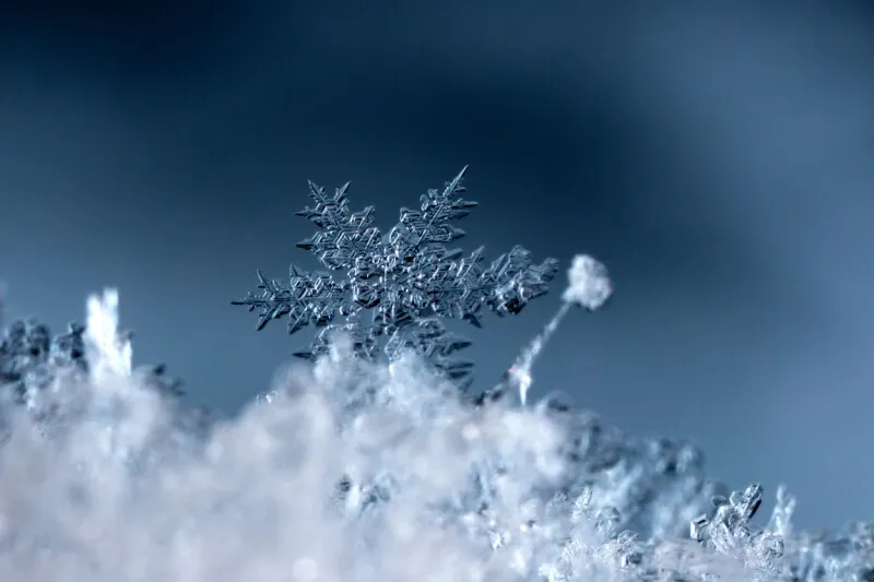 The illustration depicts enterprise AI agent permission gateway integration between Snowflake and Natoma.