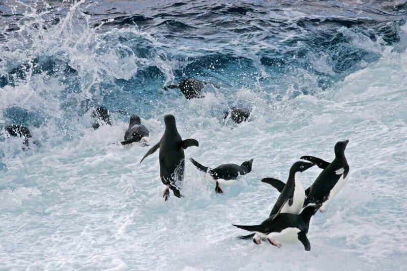 Linux Kernel Maintainer Tightens Late-Stage Submission Rules Amid AI Churn