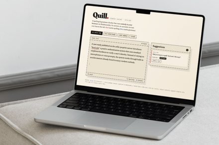 I built an offline Grammarly alternative and turned it into a Mac app without any coding