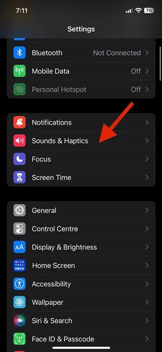 iPhone settings screen displaying ringer volume slider and focus mode toggles