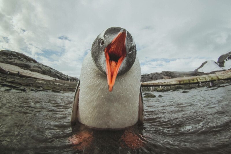 Linux kernel flaw opens root-only files to unprivileged users
