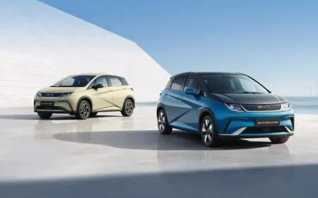 BYD vehicles are staged for export to support updated annual shipment targets.