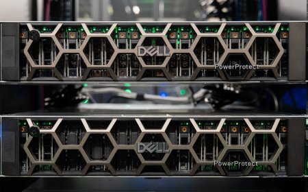 Dell PowerProtect Data Domain All-Flash Appliance Infrastructure Guide