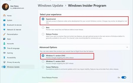 Windows 11 Adds Feature Flags Page to Insider Program for Enabling Experimental Features Without ViveTool