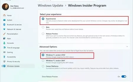 The Windows 11 Insider settings page shows the new feature flags interface for toggling experimental components.
