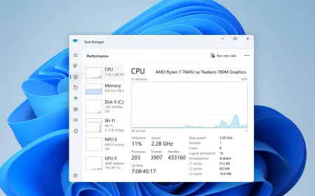 The Windows 11 interface displays performance settings designed to reduce application launch latency.