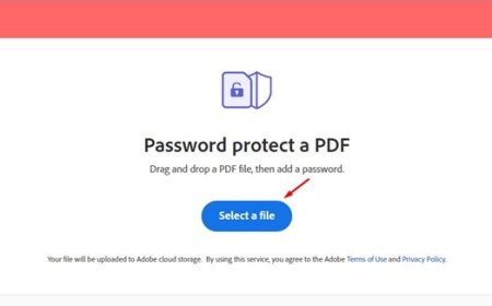 Securing Portable Documents on Windows 11 Using Browser Tools